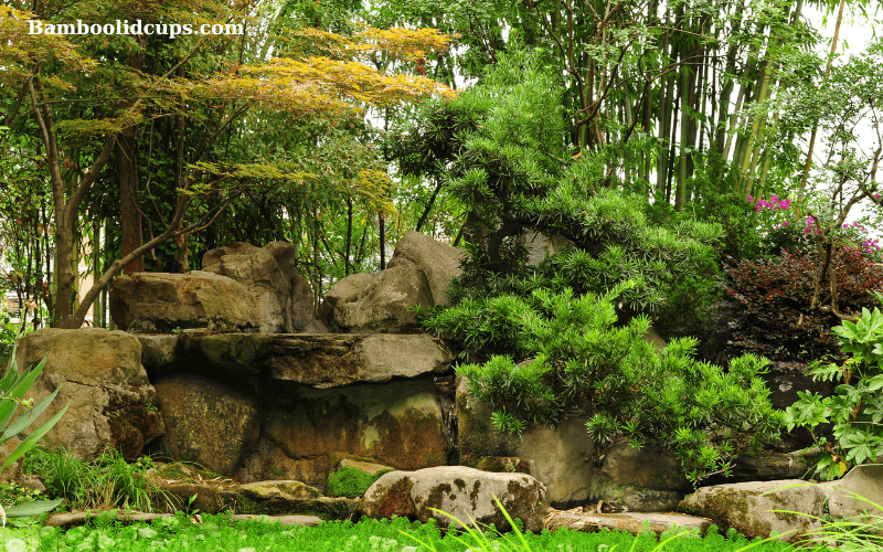 Bamboo-Garden-5