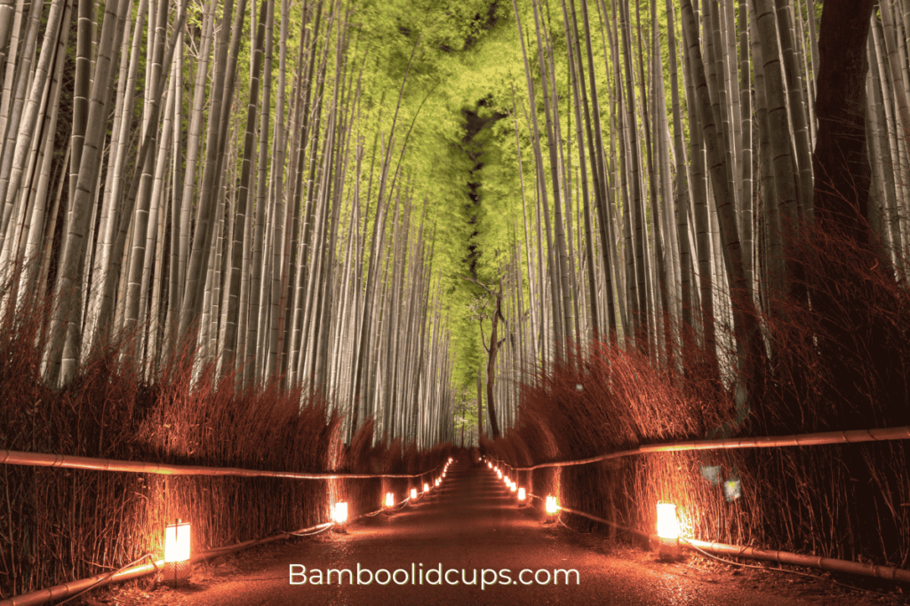 Enhance-Bamboo-Garden-6