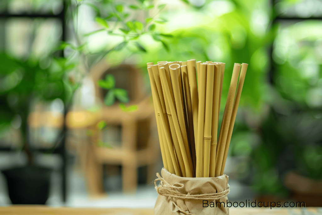 Fun-facts-about-bamboo-3